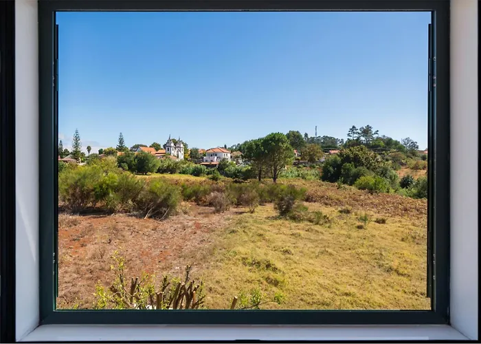 Ourmadeira - Paradise Prazeres